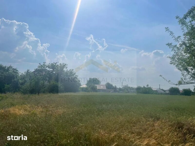 Cernica, Tanganu, teren intravilan de vanzare 4 loturi x 954 mp, investitie