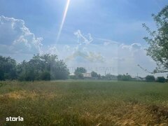 Cernica, Tanganu, teren intravilan de vanzare 4 loturi x 954 mp, investitie