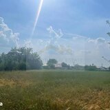 Cernica, Tanganu, teren intravilan de vanzare 4 loturi x 954 mp, investitie