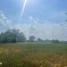 Cernica, Tanganu, teren intravilan de vanzare 4 loturi x 954 mp, investitie